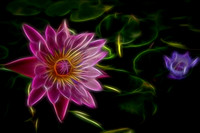 Brilliant Fibers II