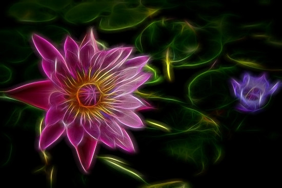 Brilliant Fibers II