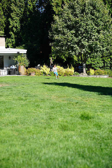 a9-39 ILCE-9 FE 24-70mm F2.8 GM 70 mm 1-1250 sec at f - 3.2 ISO 160_