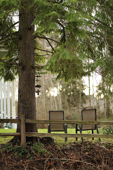 Canon-320 Canon EOS-1D X Mark II EF85mm f-1.4L IS USM 85 mm 1-400 sec at f - 1.8 ISO 100_