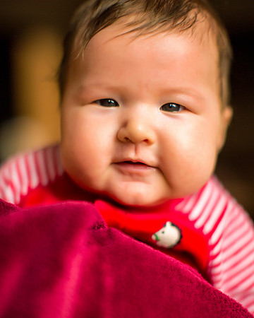 Christmas 2015-602-Edit