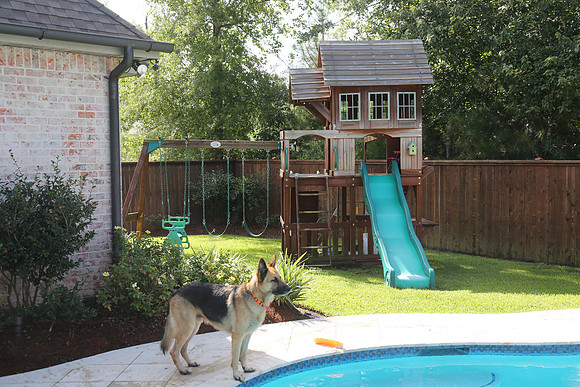 New Orleans 2013-215