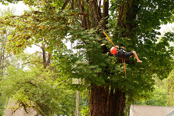 a9 Camp2-487 ILCE-9 FE 24-70mm F2.8 GM 70 mm 1-1000 sec at f - 4.0 ISO 800_