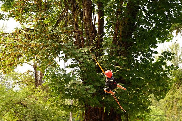 a9 Camp2-483 ILCE-9 FE 24-70mm F2.8 GM 70 mm 1-1000 sec at f - 4.0 ISO 640_