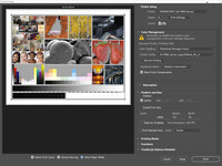 Platine_Win10_EpsonPhotoshop