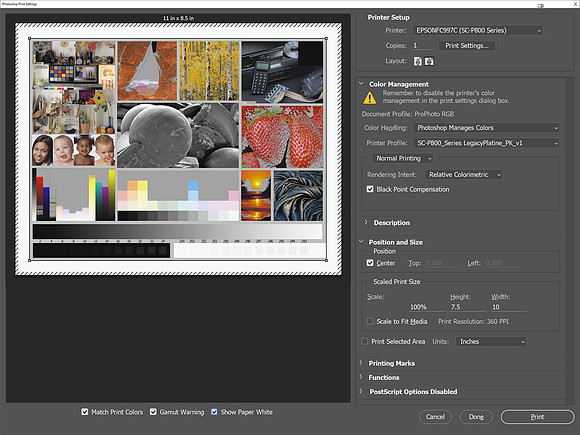 Platine_Win10_EpsonPhotoshop
