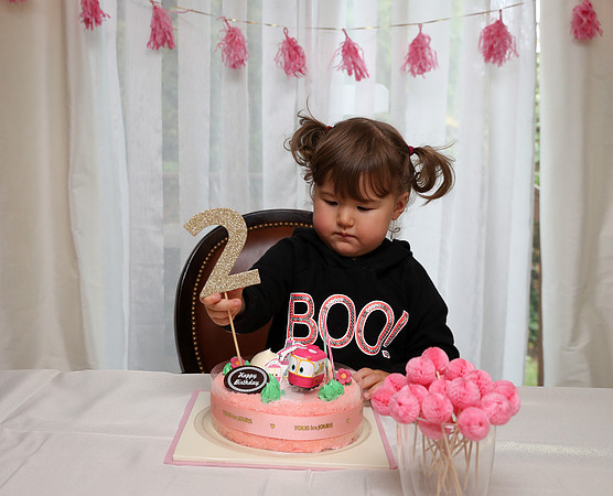 Ara 2nd Birthday Party-16