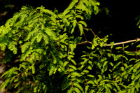 DSC07172