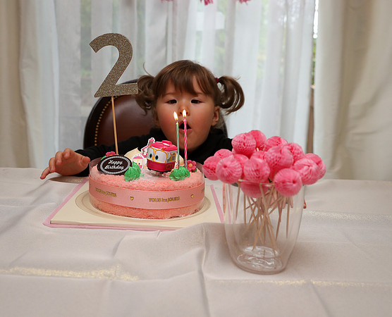 Ara 2nd Birthday Party-46