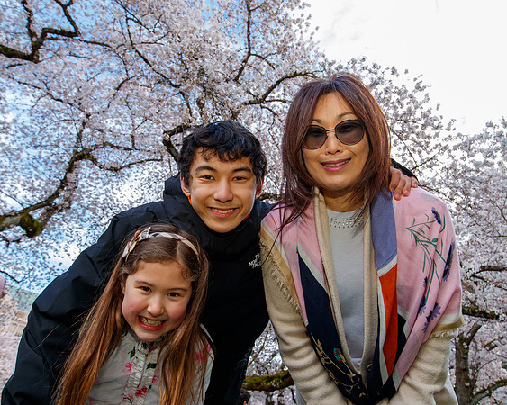 UW Cherry Blossoms 2023-287