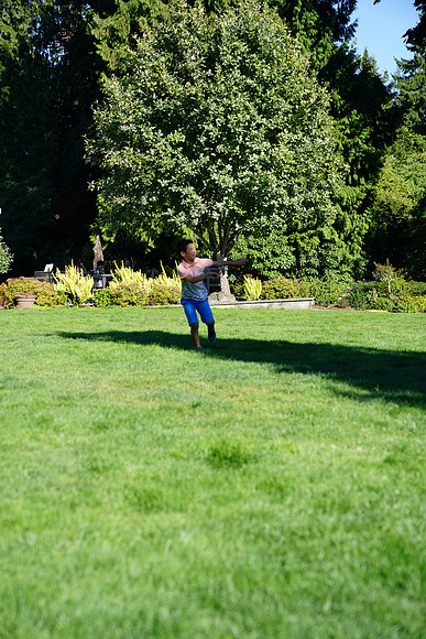 a9-117 ILCE-9 FE 24-70mm F2.8 GM 70 mm 1-1250 sec at f - 3.2 ISO 160_