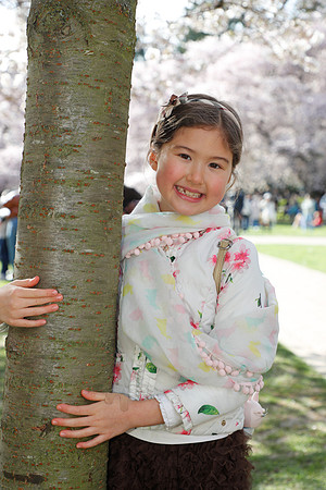 UW Cherry Blossoms 2023-32
