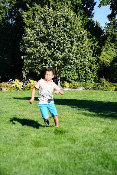 a9-161 ILCE-9 FE 24-70mm F2.8 GM 70 mm 1-1250 sec at f - 3.2 ISO 160_