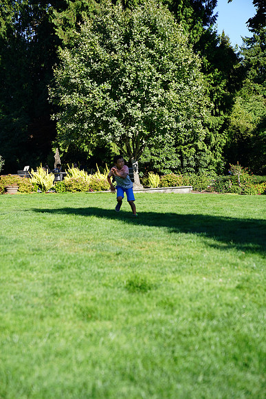 a9-112 ILCE-9 FE 24-70mm F2.8 GM 70 mm 1-1250 sec at f - 3.2 ISO 160_