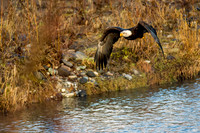 Eagles Nooksack-563-Edit
