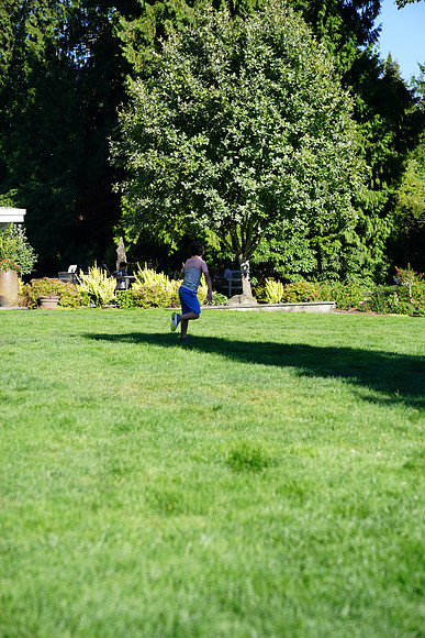 a9-98 ILCE-9 FE 24-70mm F2.8 GM 70 mm 1-1250 sec at f - 3.2 ISO 160_