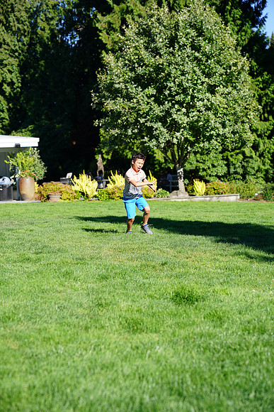 a9-131 ILCE-9 FE 24-70mm F2.8 GM 70 mm 1-1250 sec at f - 3.2 ISO 160_