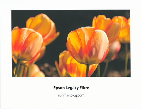 Scan Legacy Fibre Mac - Copyright Ron Martinsen