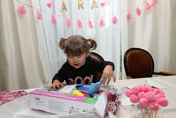 Ara 2nd Birthday Party-120