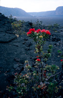 SF880r3_USM_iSRD_AutoCCR_3200ppi_48-24_MEOn_20