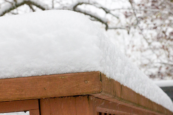Snow-80
