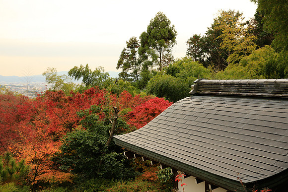 Asia 2012-1612