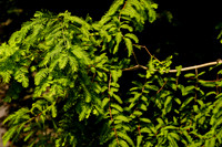 DSC07164