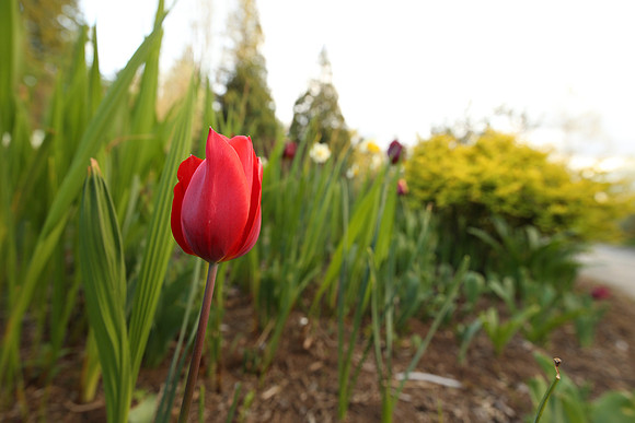 LensTest-348_ISO 640_1-100 sec at f - 5.6_TAMRON SP 15-30mm F-2.8 Di VC USD A012 at 19 mm