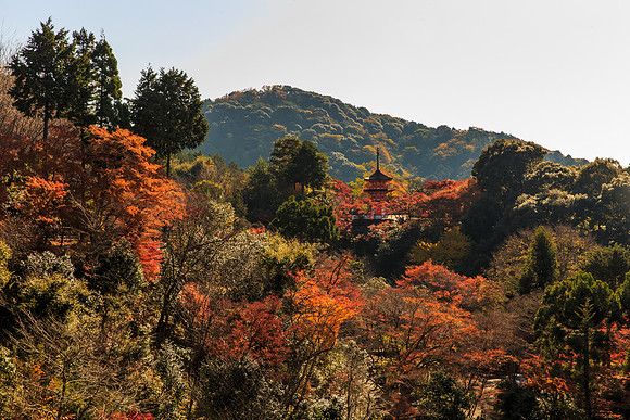 Asia 2012-3265