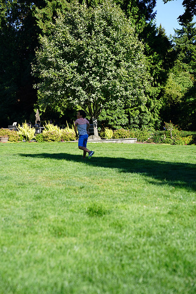 a9-107 ILCE-9 FE 24-70mm F2.8 GM 70 mm 1-1250 sec at f - 3.2 ISO 160_