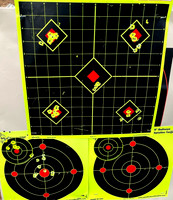Federal Range Pack Warmup & Remington Golden Bullets