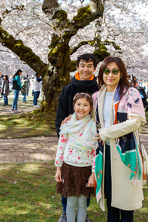 UW Cherry Blossoms 2023-25