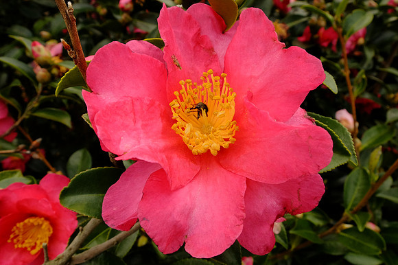AsiaSnapshots-174_NR-2_ISO 200_1-150 sec at f - 6.4_ at 7.1 mm