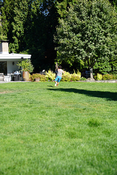a9-71 ILCE-9 FE 24-70mm F2.8 GM 70 mm 1-1250 sec at f - 3.2 ISO 160_