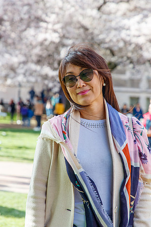 UW Cherry Blossoms 2023-43