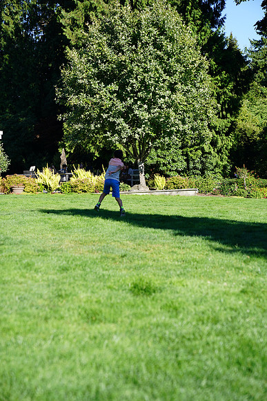 a9-101 ILCE-9 FE 24-70mm F2.8 GM 70 mm 1-1250 sec at f - 3.2 ISO 160_