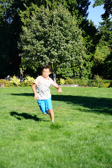 a9-160 ILCE-9 FE 24-70mm F2.8 GM 70 mm 1-1250 sec at f - 3.2 ISO 160_