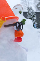 Snow Day X10-84