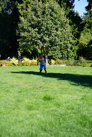 a9-111 ILCE-9 FE 24-70mm F2.8 GM 70 mm 1-1250 sec at f - 3.2 ISO 160_