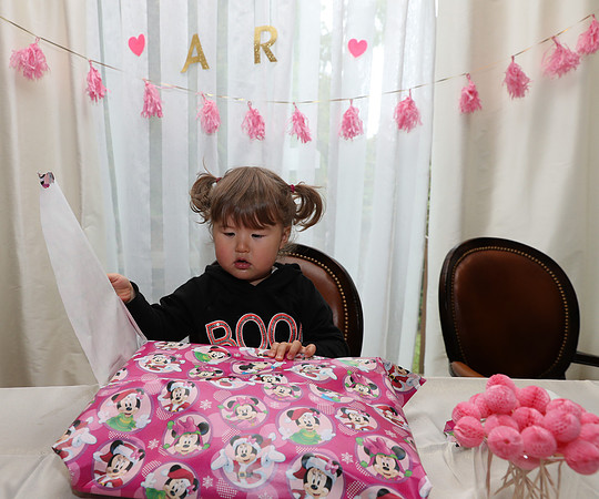 Ara 2nd Birthday Party-112