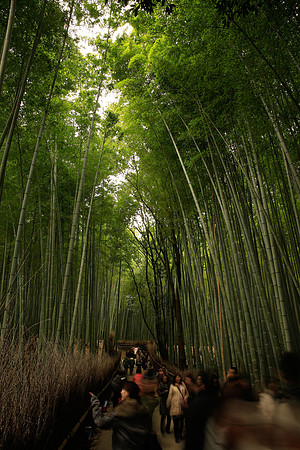Asia 2012-1476-Edit