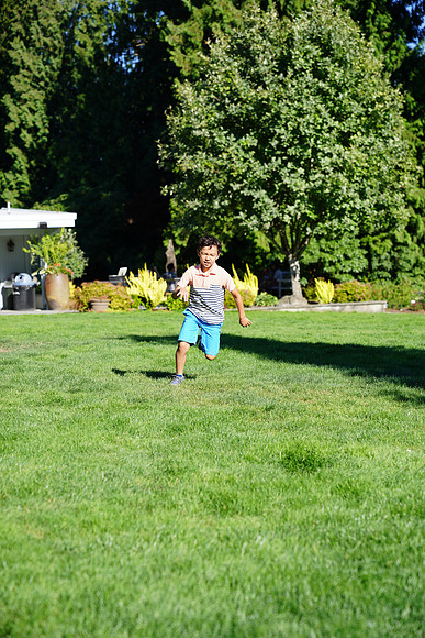 a9-142 ILCE-9 FE 24-70mm F2.8 GM 70 mm 1-1250 sec at f - 3.2 ISO 160_