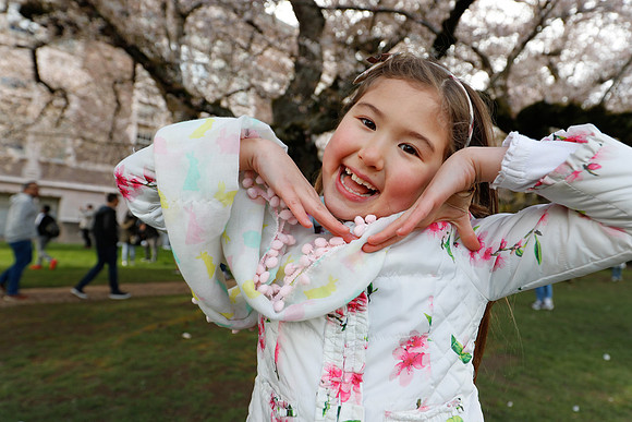 UW Cherry Blossoms 2023-244