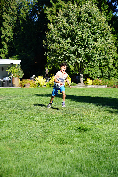 a9-145 ILCE-9 FE 24-70mm F2.8 GM 70 mm 1-1250 sec at f - 3.2 ISO 160_