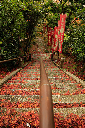 Asia 2012-1576