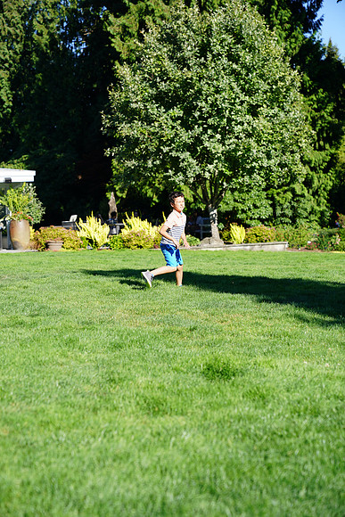 a9-125 ILCE-9 FE 24-70mm F2.8 GM 70 mm 1-1250 sec at f - 3.2 ISO 160_