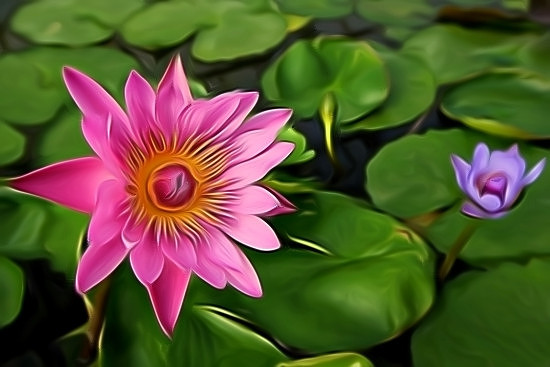 Liquify II