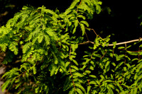 DSC07170