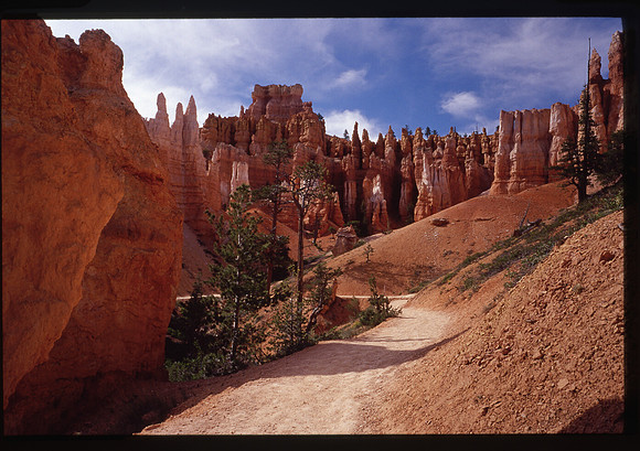 Epson Scan USM Med Dig Ice Qual 3200 24-bit022