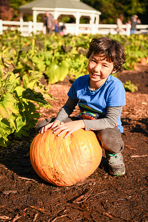 D850 Fall-653